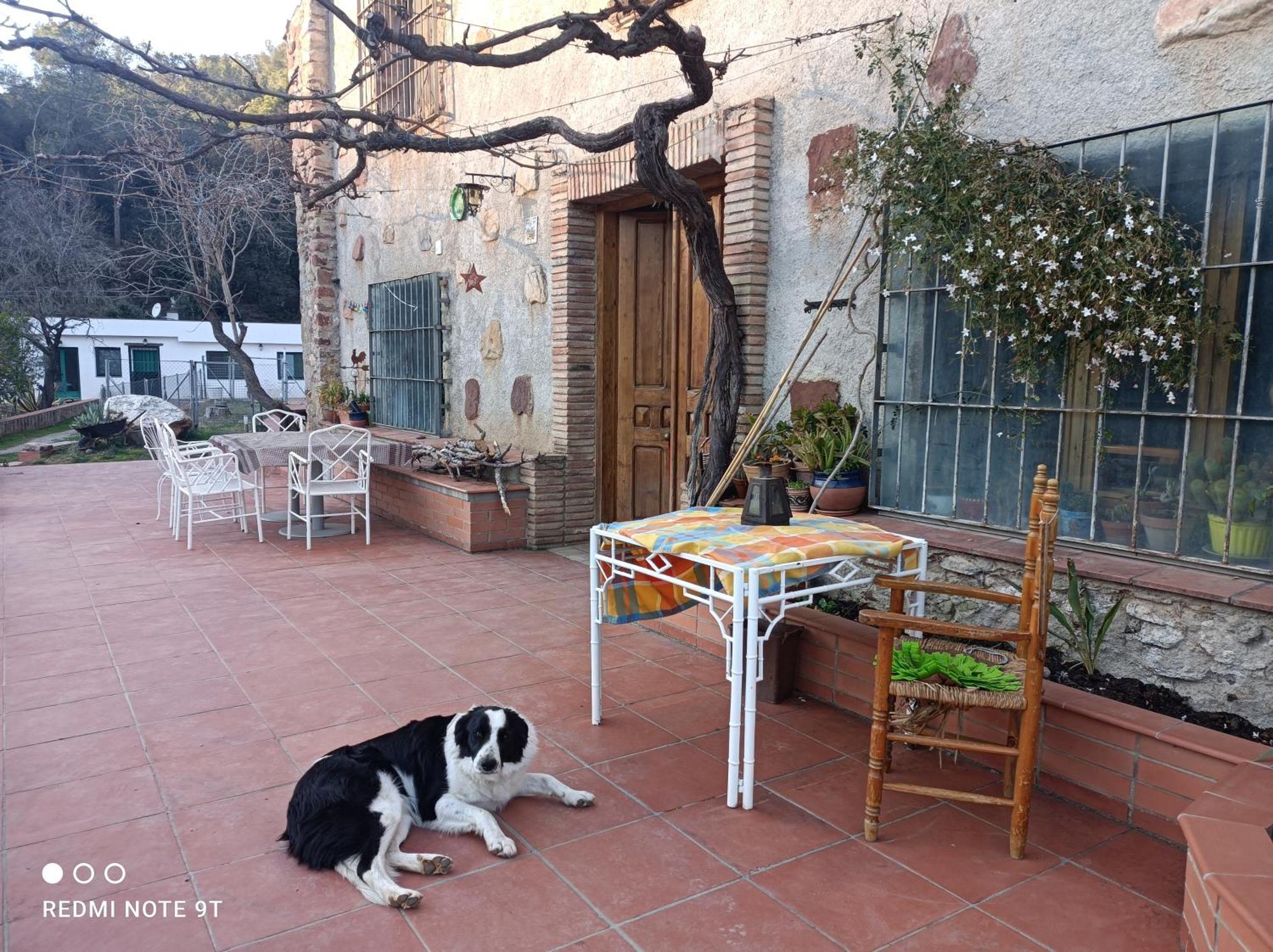 לה גאריגה Masia Can Sunyer Agroturismo מראה חיצוני תמונה
