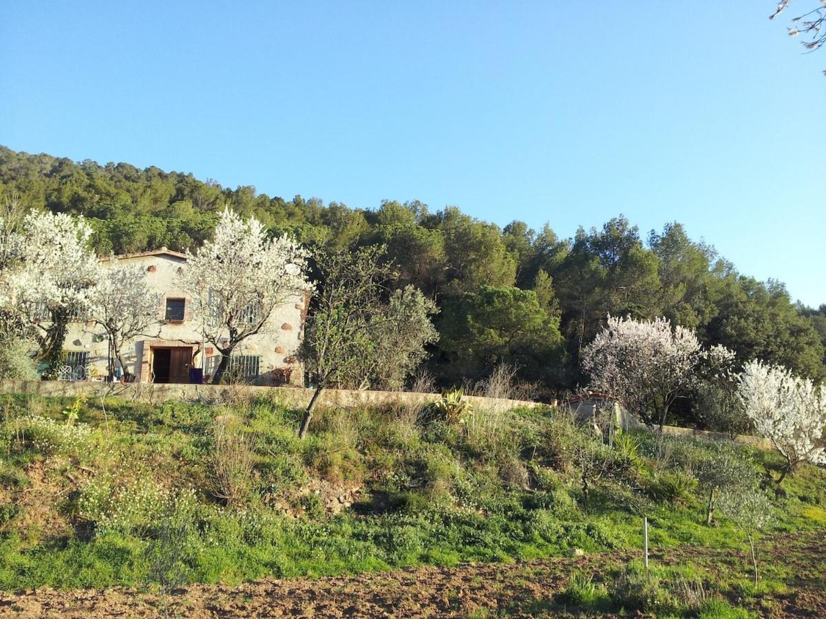 לה גאריגה Masia Can Sunyer Agroturismo מראה חיצוני תמונה